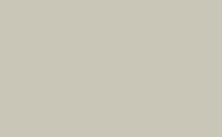 French Grey™ - Absolute Matt Emulsion - 10 L - Little Greene