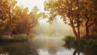 Foggy Autumn - Picment