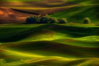 Spring in the Palouse - Picment