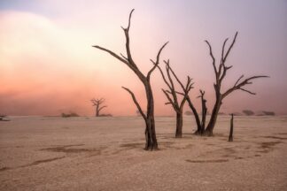 Fog in deadvlei - Picment