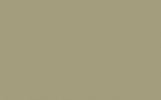 Portland Stone  -  Dark - Intelligent Gloss - 1 L - Little Greene