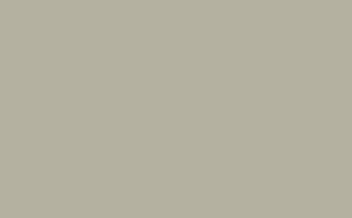 French Grey  -  Dark™ - Intelligent Matt Emulsion - 10 L - Little Greene