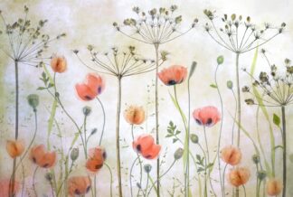 Poppy Meadow - Picment