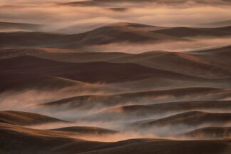 Early Spring Morning at Palouse - Picment