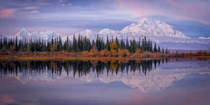 Denali Reflection - Picment