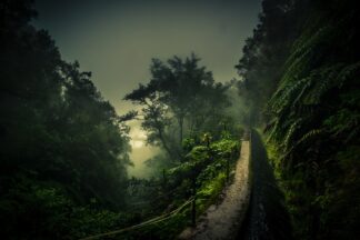 Levada Walk - Picment