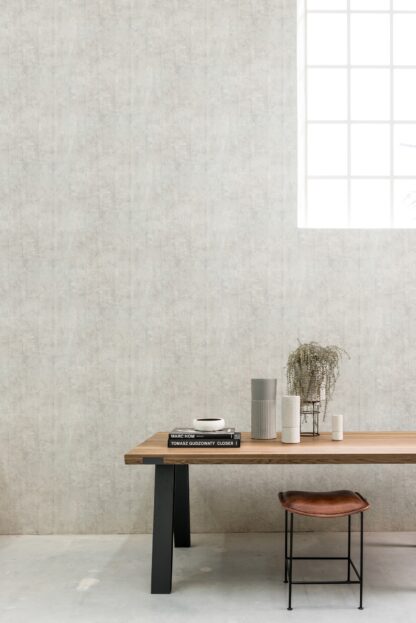 Raw Matters - Worn wood - Light Grey - BN Walls