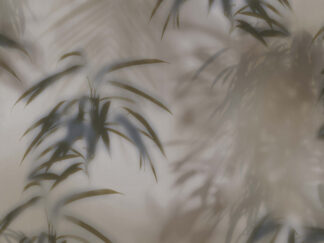 Dusty Palms - Grey/Green - BN Walls