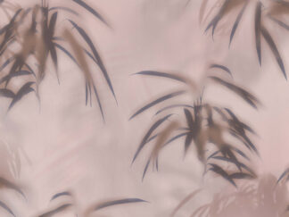 Dusty Palms - Rose - BN Walls