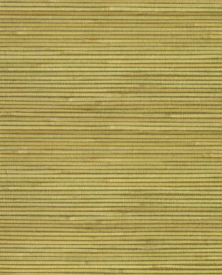 Natural Striped Bambus - Light Green - Eijffinger