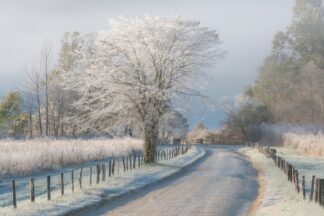 A Frosty Morning - Picment