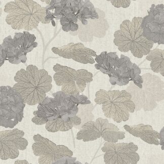 Geraniums - Beige - Midbec Geraniums - Beige - Midbec