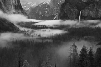 Fog Floating In Yosemite Valley - Picment