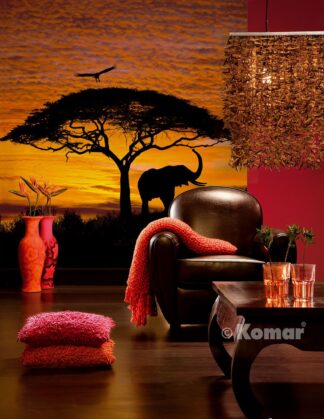 African sunset 304-501 - Fototapet savanne - Komar
