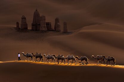 Castle and Camels - Picment