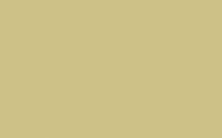 Oak Apple™ - Absolute Matt Emulsion - 2.5 L - Little Greene