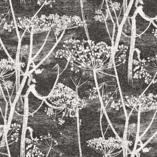 Cow Parsley - Soot & Snow - Cole and Son