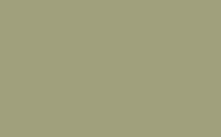 Normandy Grey™ - Intelligent Satinwood - 1 L - Little Greene