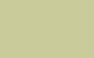 Kitchen Green™ - Intelligent Matt Emulsion - 10 L - Little Greene