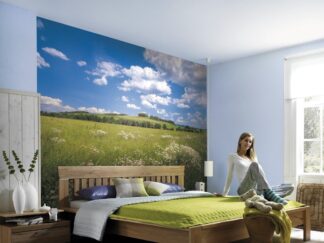 Meadow - Komar Meadow - Komar