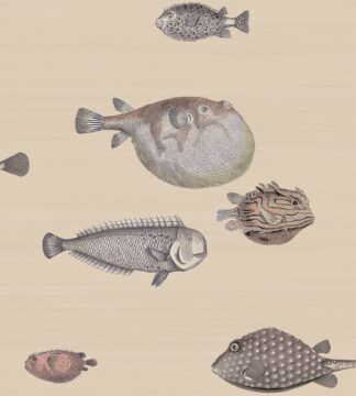 Acquario - Beige - Cole and Son