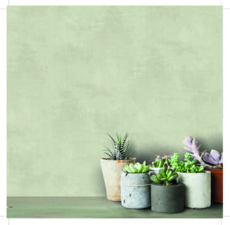 Kalk Berga - Light Green - Midbec Kalk Berga - Light Green - Midbec