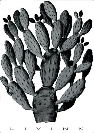 CACTUS-50 x 70 - Livink