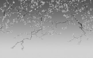 Cherry Blossom - Light Grey - Picment