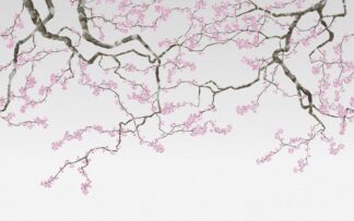 Cherry Blossom - Pink - Picment