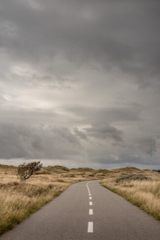 Cykelsti - Fanø-70 x 100 - Foto Factory