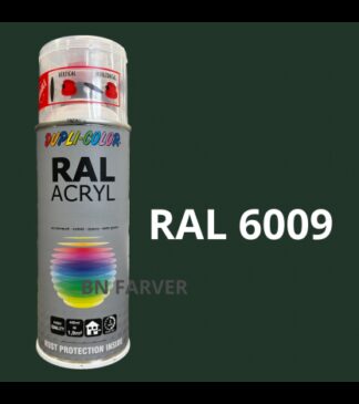 Dupli Color RAL 6009 - Motip