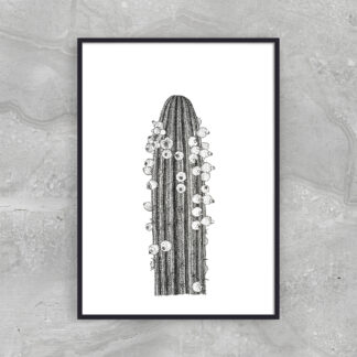 FLOWER CACTUS - Pen and Ink