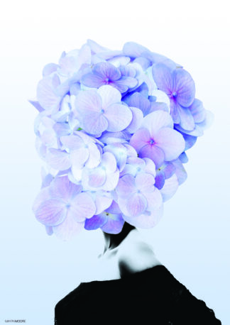 Hortensia 1-50 x 70 - Martin Moore