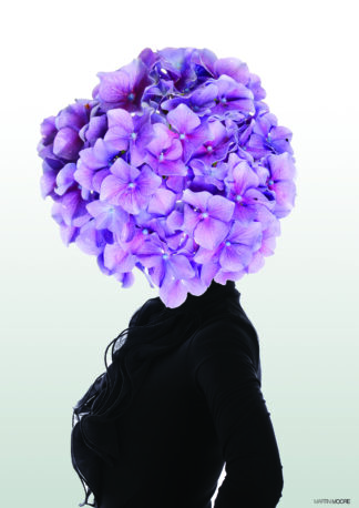 Hortensia 2-50 x 70 - Martin Moore