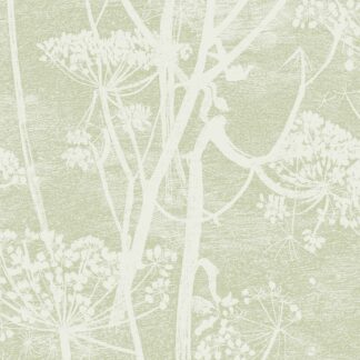 Cow Parsley - Olive - Cole and Son