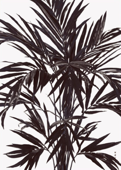 PALM TREE-A3 - Livink