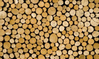 Raw wood - Fototapet træ - Picment