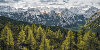 Wild Dolomites - Komar