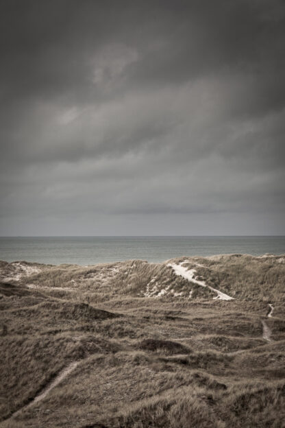 Skagens klitter-A3 - Foto Factory