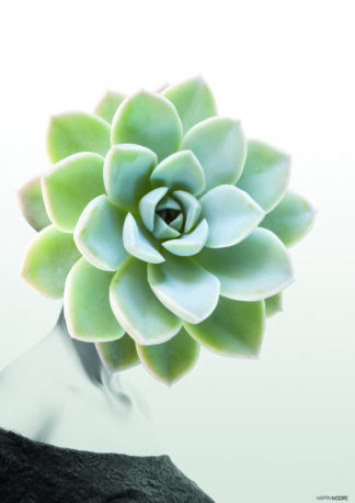 Succulent 1 -50 x 70 - Martin Moore