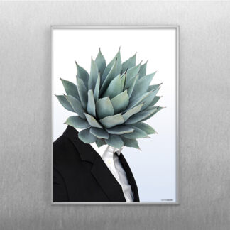 Succulent 2 - Martin Moore