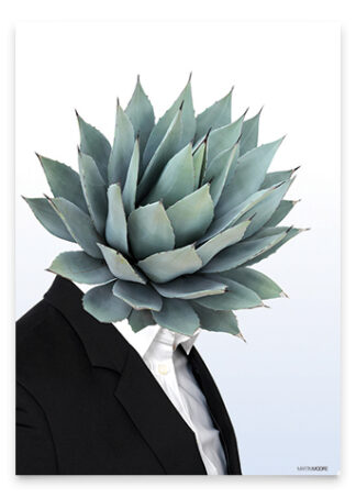 Succulent 2-A3 - Martin Moore